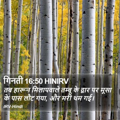 गिनती 16:50 HINIRV Bible Verse Image