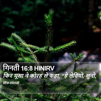 गिनती 16:8 HINIRV Bible Verse Image
