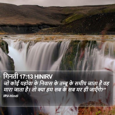 गिनती 17:13 HINIRV Bible Verse Image