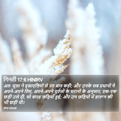 गिनती 17:6 HINIRV Bible Verse Image