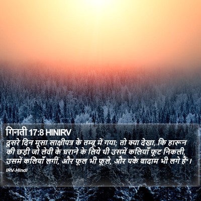 गिनती 17:8 HINIRV Bible Verse Image