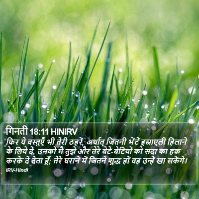 गिनती 18:11 HINIRV Bible Verse Image