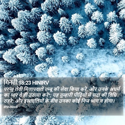 गिनती 18:23 HINIRV Bible Verse Image