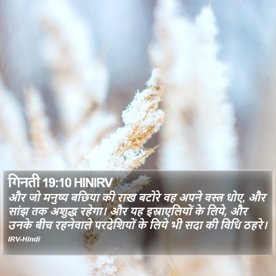 गिनती 19:10 HINIRV Bible Verse Image
