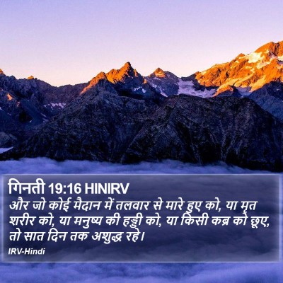 गिनती 19:16 HINIRV Bible Verse Image