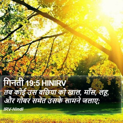 गिनती 19:5 HINIRV Bible Verse Image