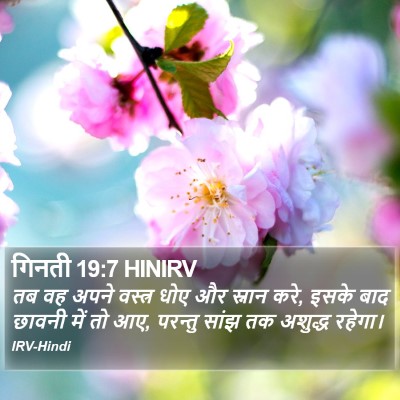 गिनती 19:7 HINIRV Bible Verse Image