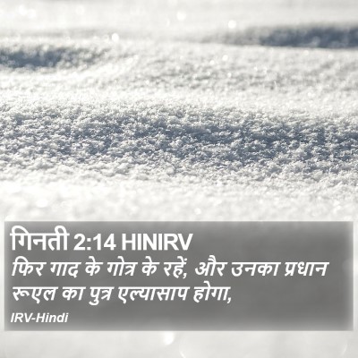 गिनती 2:14 HINIRV Bible Verse Image