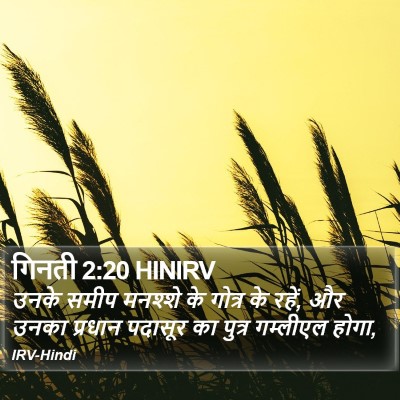 गिनती 2:20 HINIRV Bible Verse Image