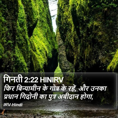 गिनती 2:22 HINIRV Bible Verse Image