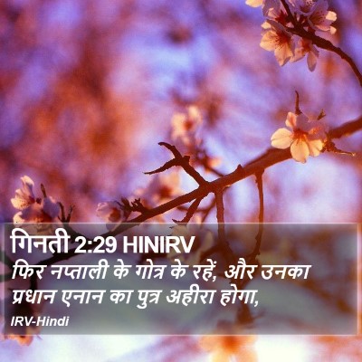गिनती 2:29 HINIRV Bible Verse Image
