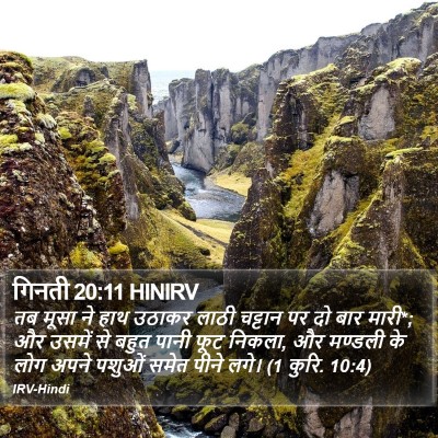 गिनती 20:11 HINIRV Bible Verse Image