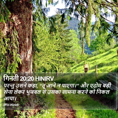 गिनती 20:20 HINIRV Bible Verse Image