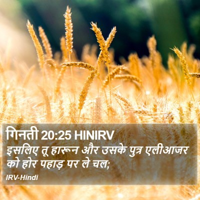 गिनती 20:25 HINIRV Bible Verse Image