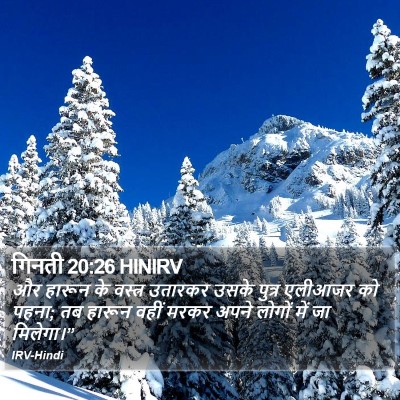 गिनती 20:26 HINIRV Bible Verse Image