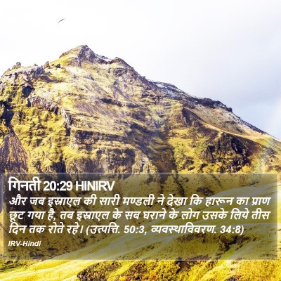 गिनती 20:29 HINIRV Bible Verse Image