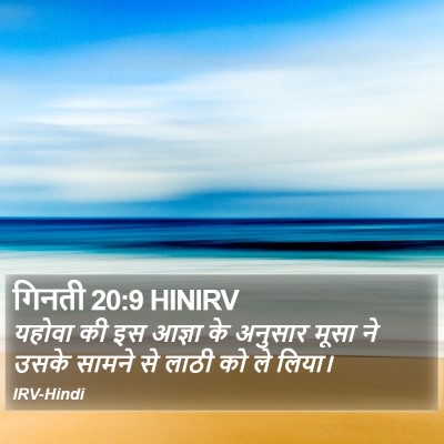 गिनती 20:9 HINIRV Bible Verse Image