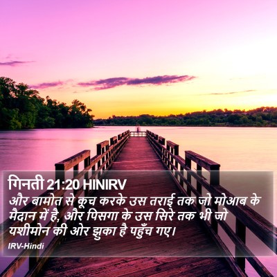 गिनती 21:20 HINIRV Bible Verse Image