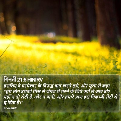गिनती 21:5 HINIRV Bible Verse Image