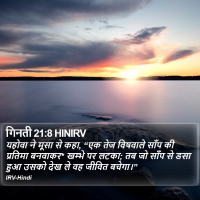 गिनती 21:8 HINIRV Bible Verse Image