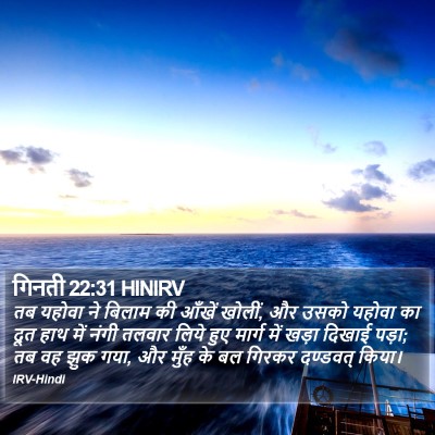 गिनती 22:31 HINIRV Bible Verse Image