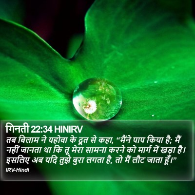 गिनती 22:34 HINIRV Bible Verse Image