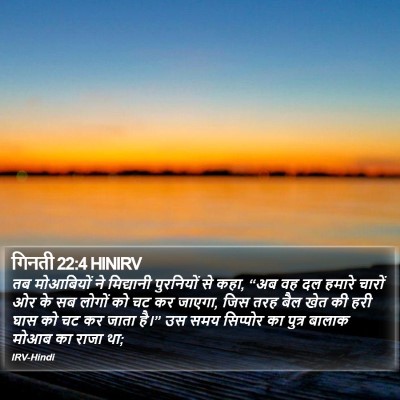 गिनती 22:4 HINIRV Bible Verse Image