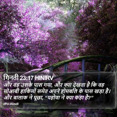 गिनती 23:17 HINIRV Bible Verse Image
