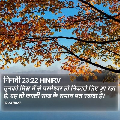 गिनती 23:22 HINIRV Bible Verse Image