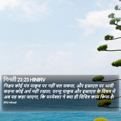 गिनती 23:23 HINIRV Bible Verse Image