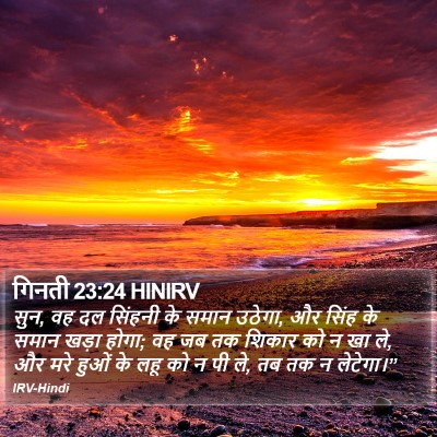 गिनती 23:24 HINIRV Bible Verse Image