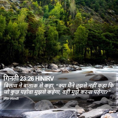 गिनती 23:26 HINIRV Bible Verse Image