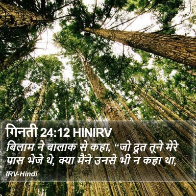 गिनती 24:12 HINIRV Bible Verse Image