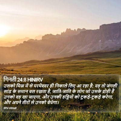 गिनती 24:8 HINIRV Bible Verse Image