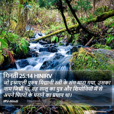 गिनती 25:14 HINIRV Bible Verse Image