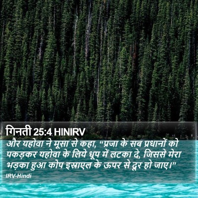 गिनती 25:4 HINIRV Bible Verse Image