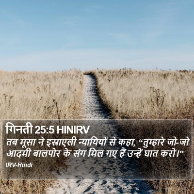 गिनती 25:5 HINIRV Bible Verse Image