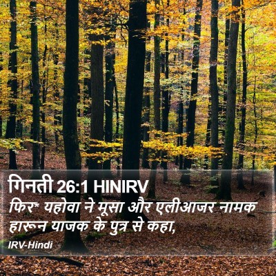 गिनती 26:1 HINIRV Bible Verse Image