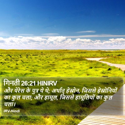 गिनती 26:21 HINIRV Bible Verse Image