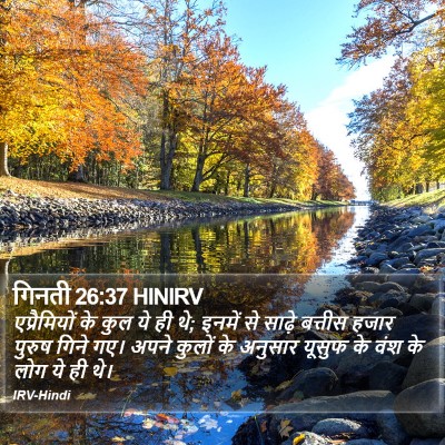 गिनती 26:37 HINIRV Bible Verse Image