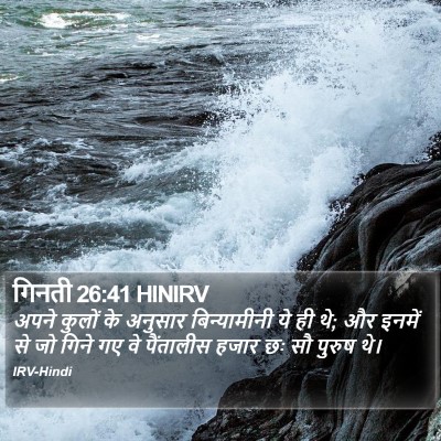 गिनती 26:41 HINIRV Bible Verse Image