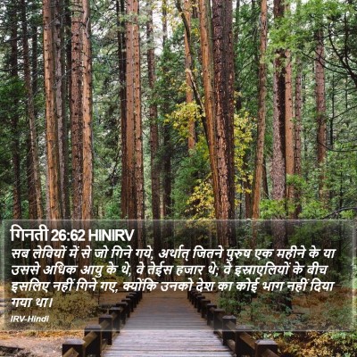 गिनती 26:62 HINIRV Bible Verse Image