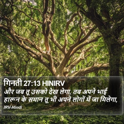 गिनती 27:13 HINIRV Bible Verse Image