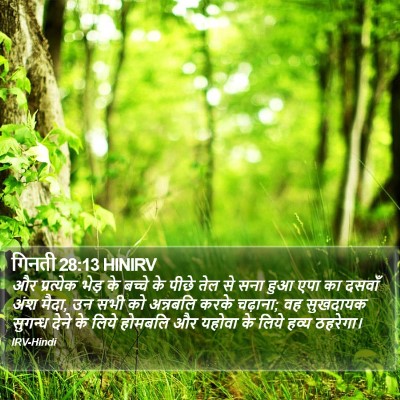 गिनती 28:13 HINIRV Bible Verse Image