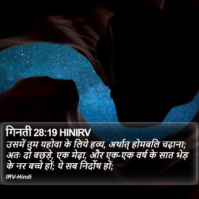 गिनती 28:19 HINIRV Bible Verse Image