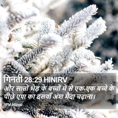 गिनती 28:29 HINIRV Bible Verse Image
