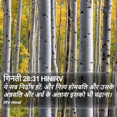 गिनती 28:31 HINIRV Bible Verse Image