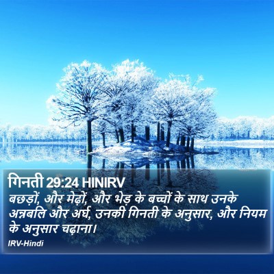 गिनती 29:24 HINIRV Bible Verse Image
