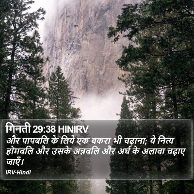 गिनती 29:38 HINIRV Bible Verse Image