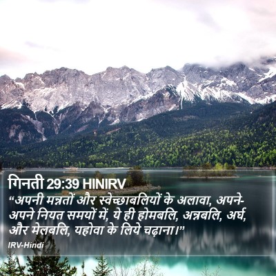 गिनती 29:39 HINIRV Bible Verse Image